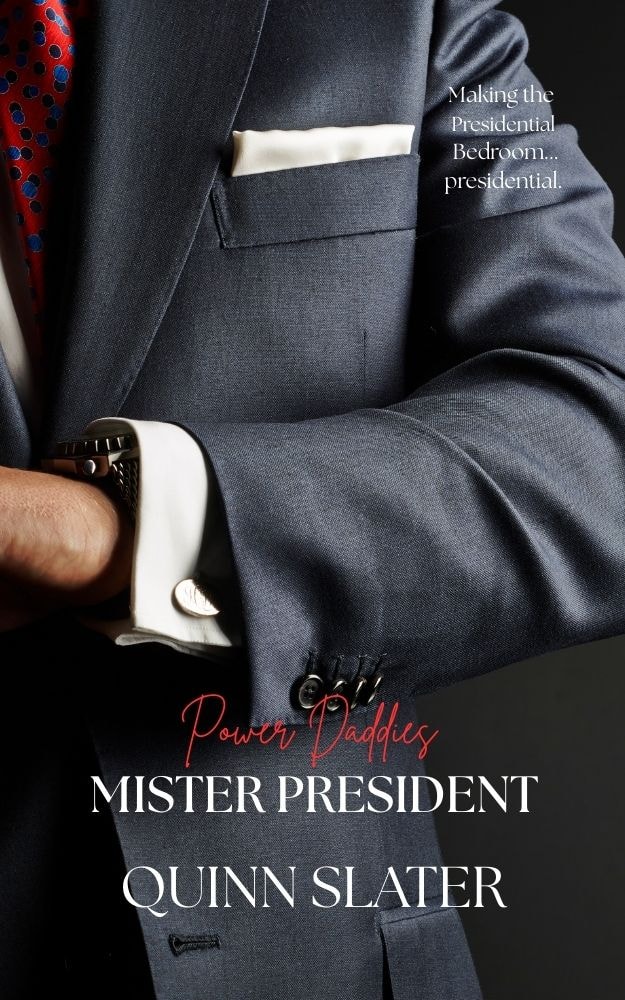 Mister President: Power Daddies Book One