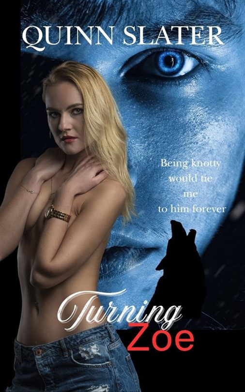 Turning Zoe — book cover
