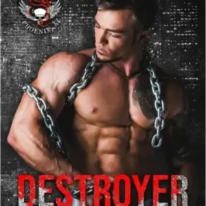 Destroyer book cover