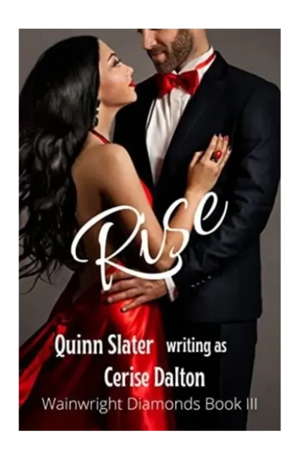 Rise book cover